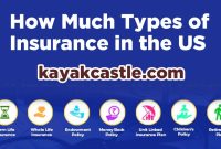 How much Types of insurance in the US kayakcastle.com