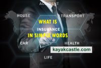 What is Insurance in Simple Words