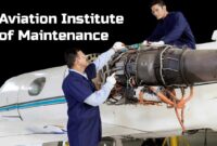 The Potential of Aviation Institute of Maintenance Behamer.com LLC